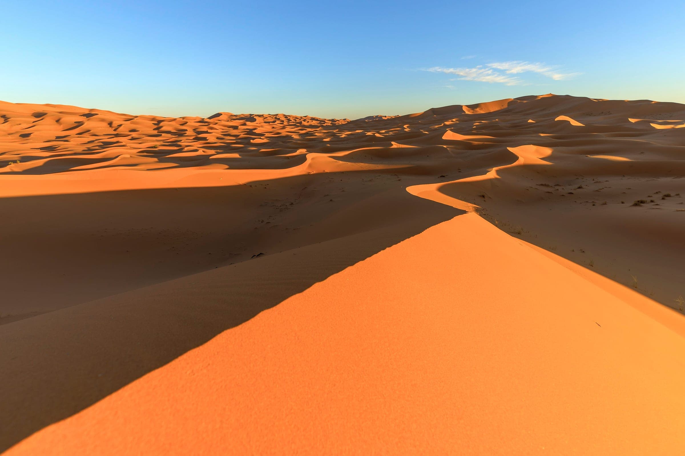 Crête de dune de l'erg Chebbi dans la lumière du soir