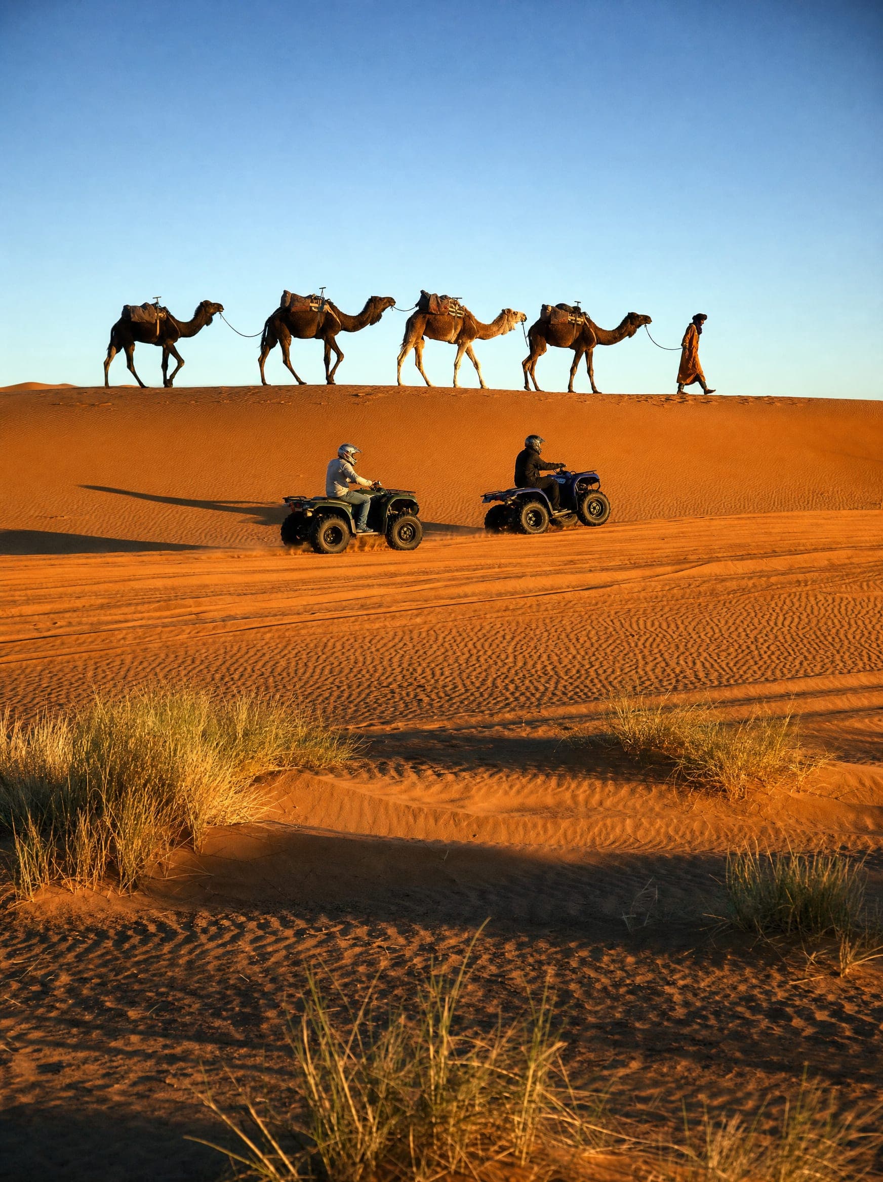 Quads et caravane de dromadaires sur les dunes de Merzouga