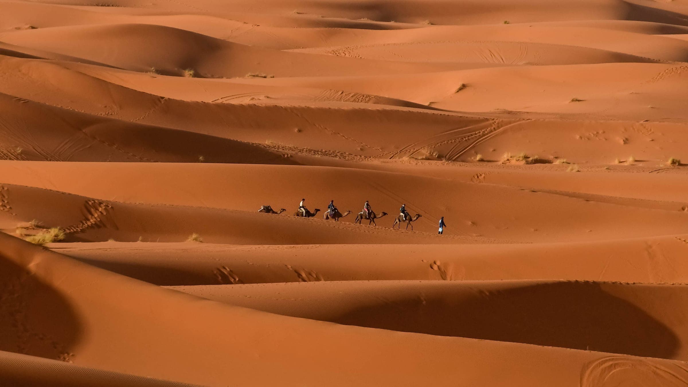 Caravane de chameaux sur les dunes de Merzouga